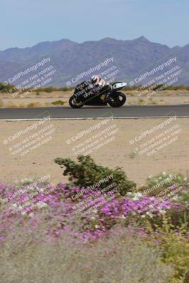 media/Mar-12-2023-SoCal Trackdays (Sun) [[d4c8249724]]/Turn 15 Inside Bloom (130pm)/